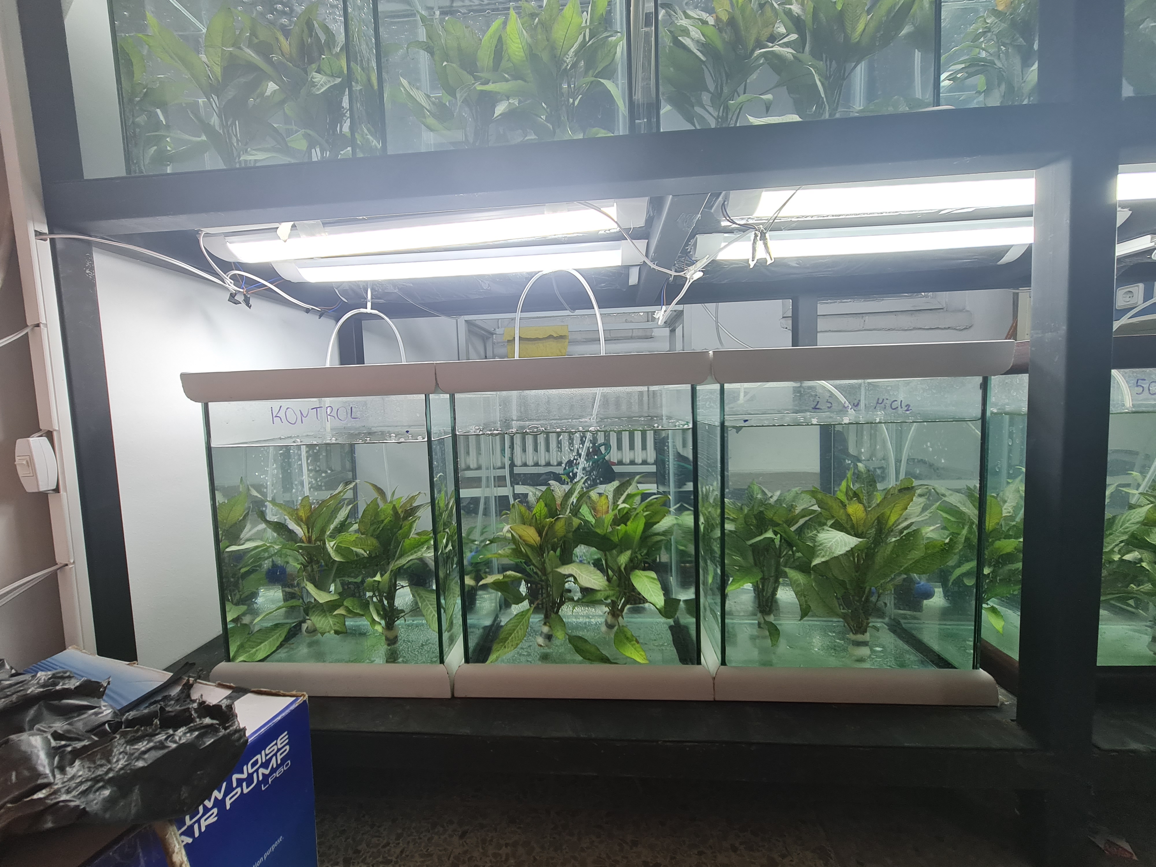 10852 FDK-2022-10852-1.jpg (2.72 MB)