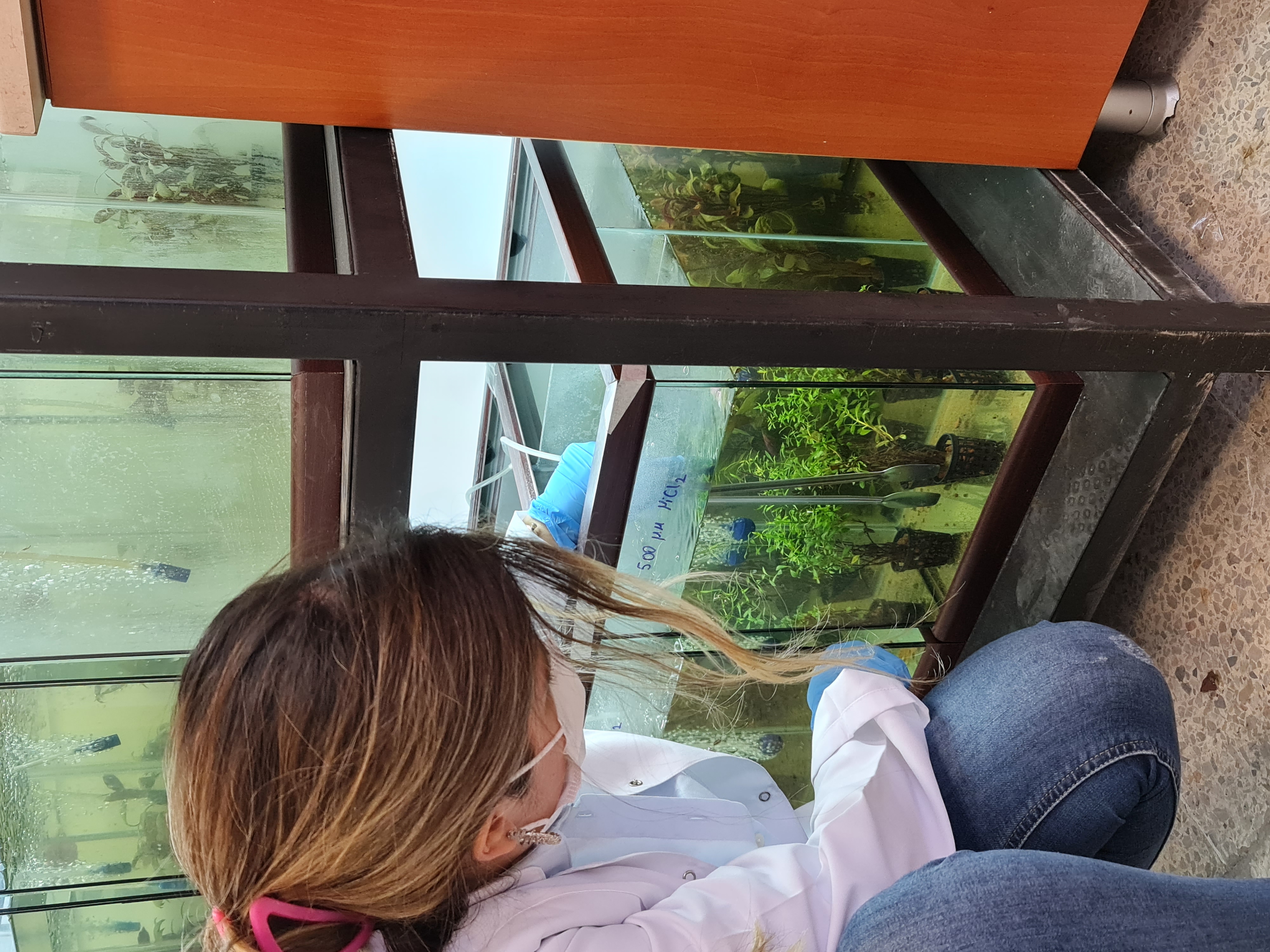 10852 FDK-2022-10852-12.jpg (2.51 MB)