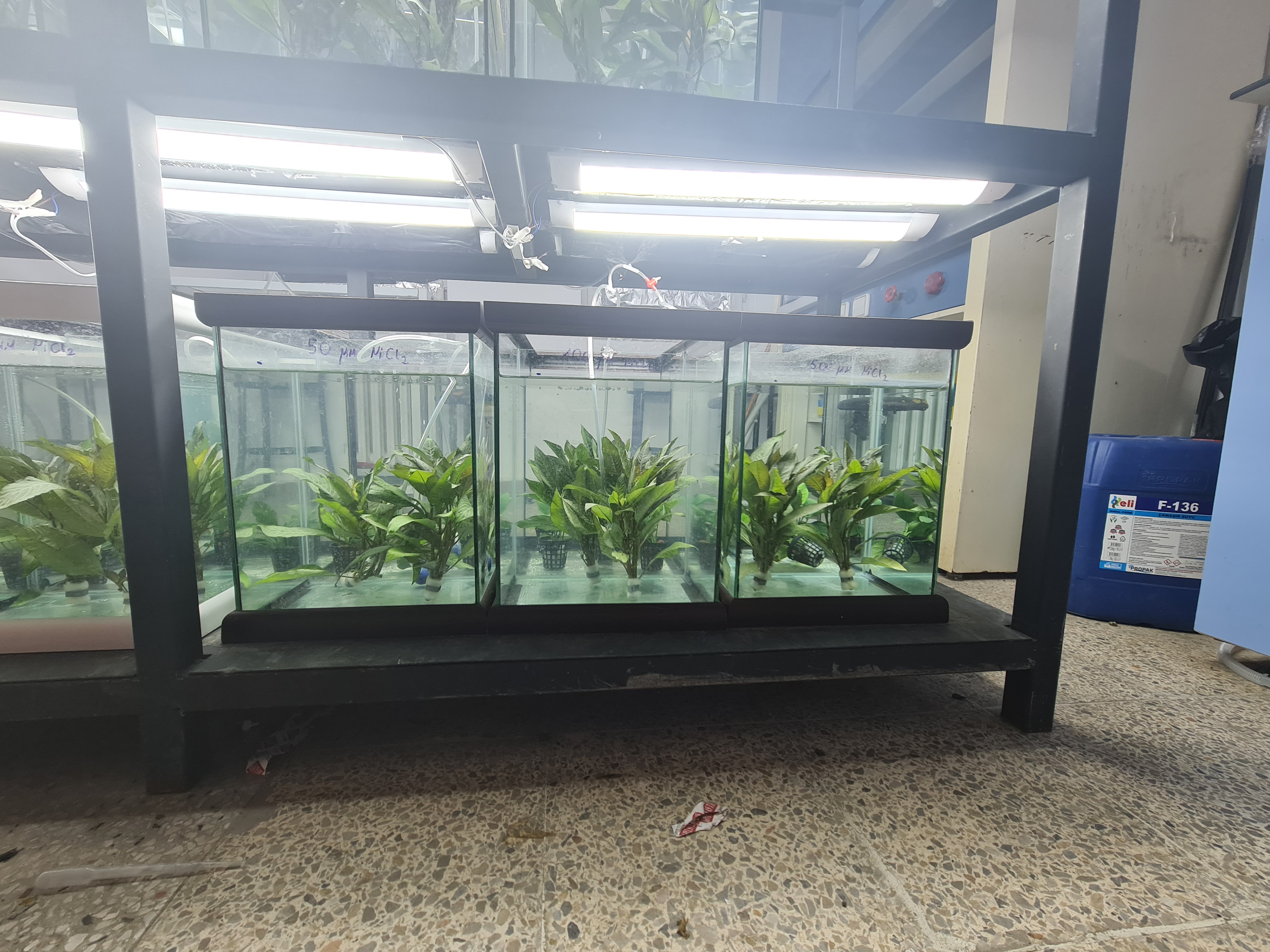 10852 FDK-2022-10852-2.jpg (2.64 MB)