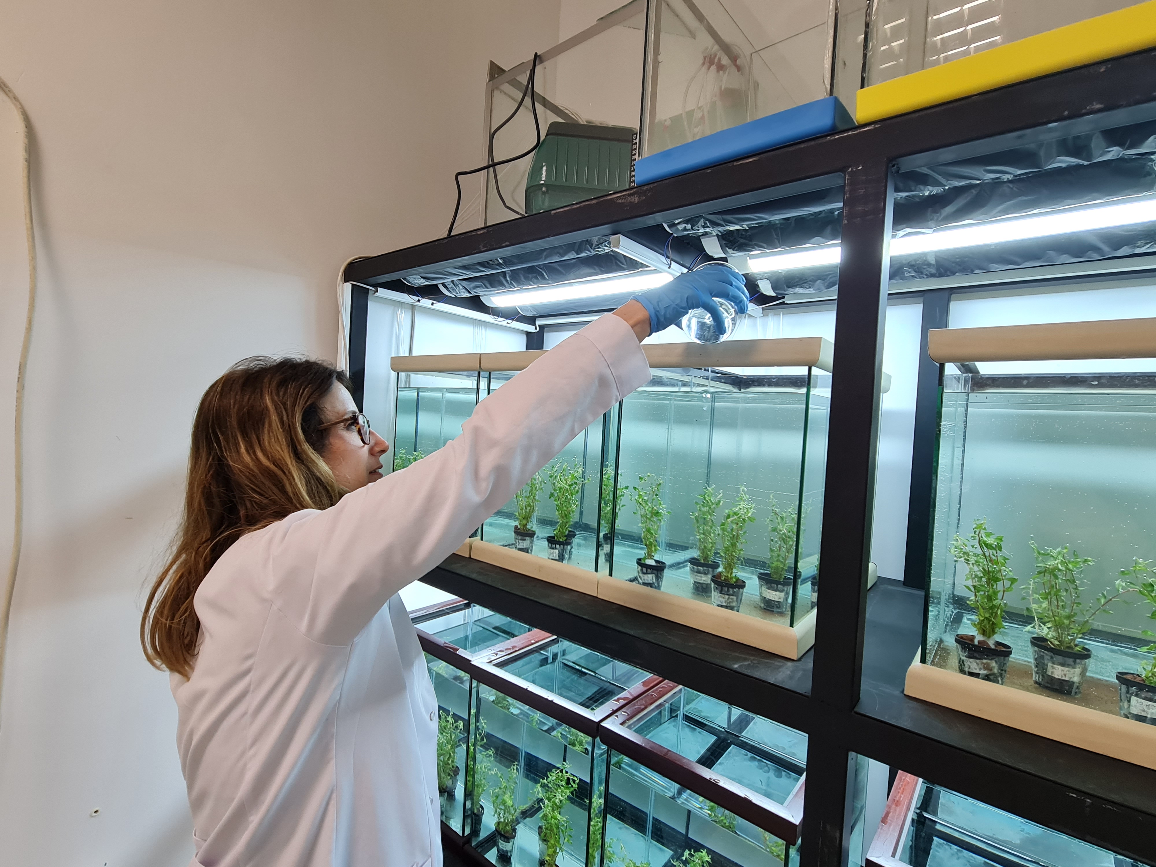 10852 FDK-2022-10852-3.jpg (2.38 MB)