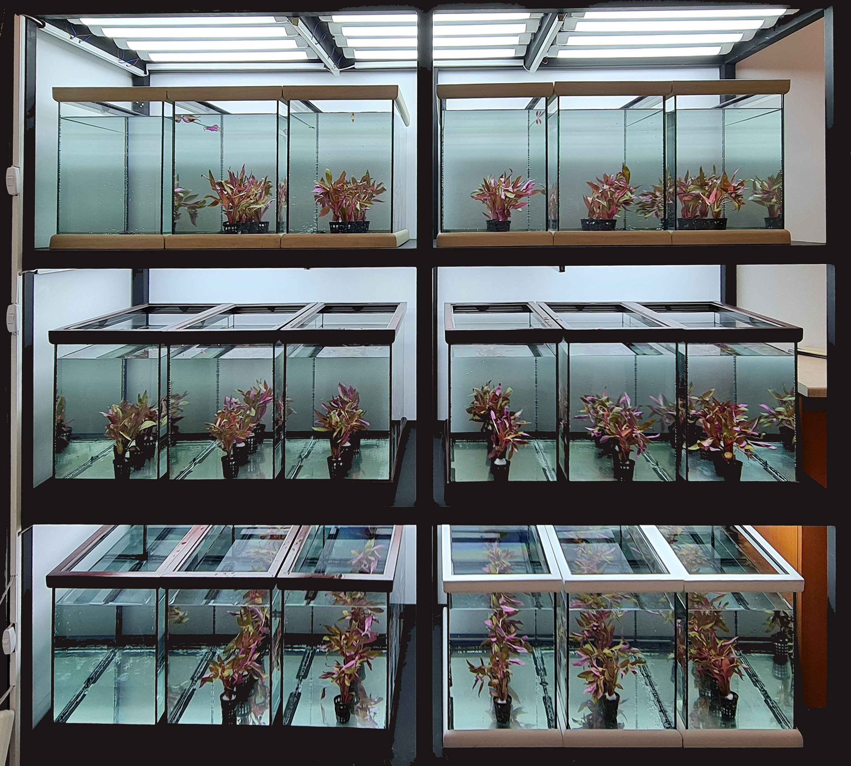 10852 FDK-2022-10852-4.jpg (977 KB)