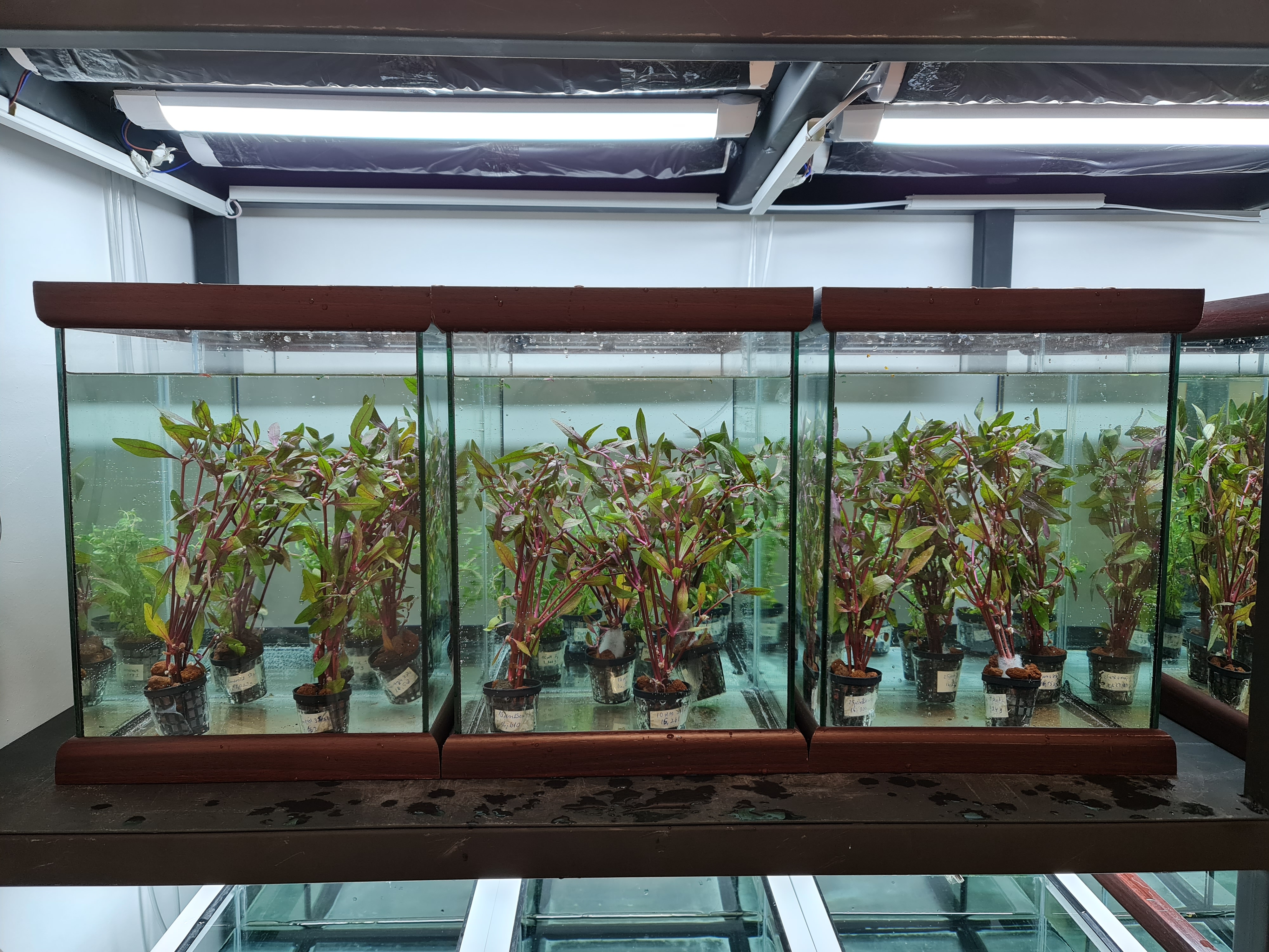 10852 FDK-2022-10852-5.jpg (3.06 MB)