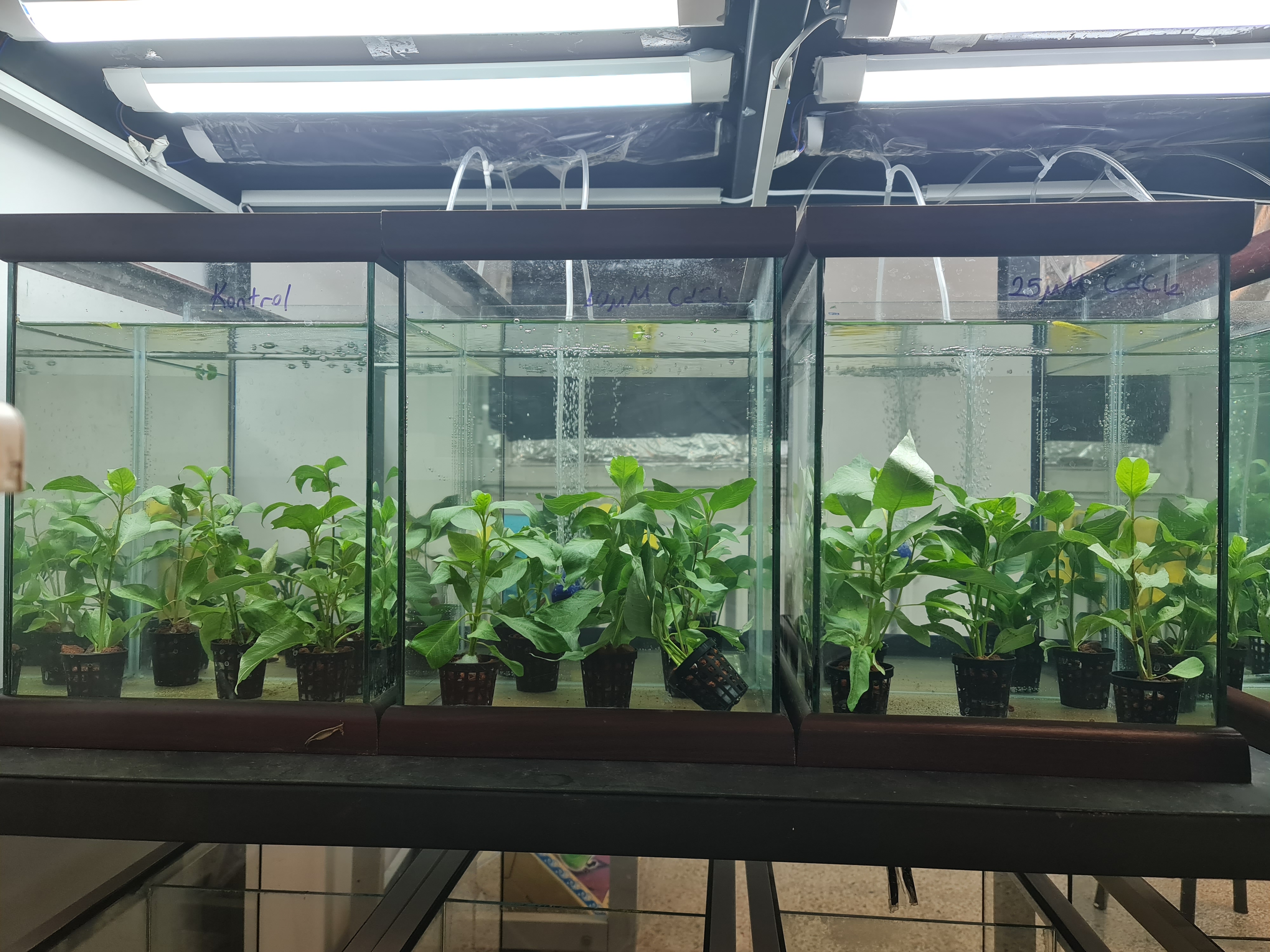 10852 FDK-2022-10852-6.jpg (2.54 MB)