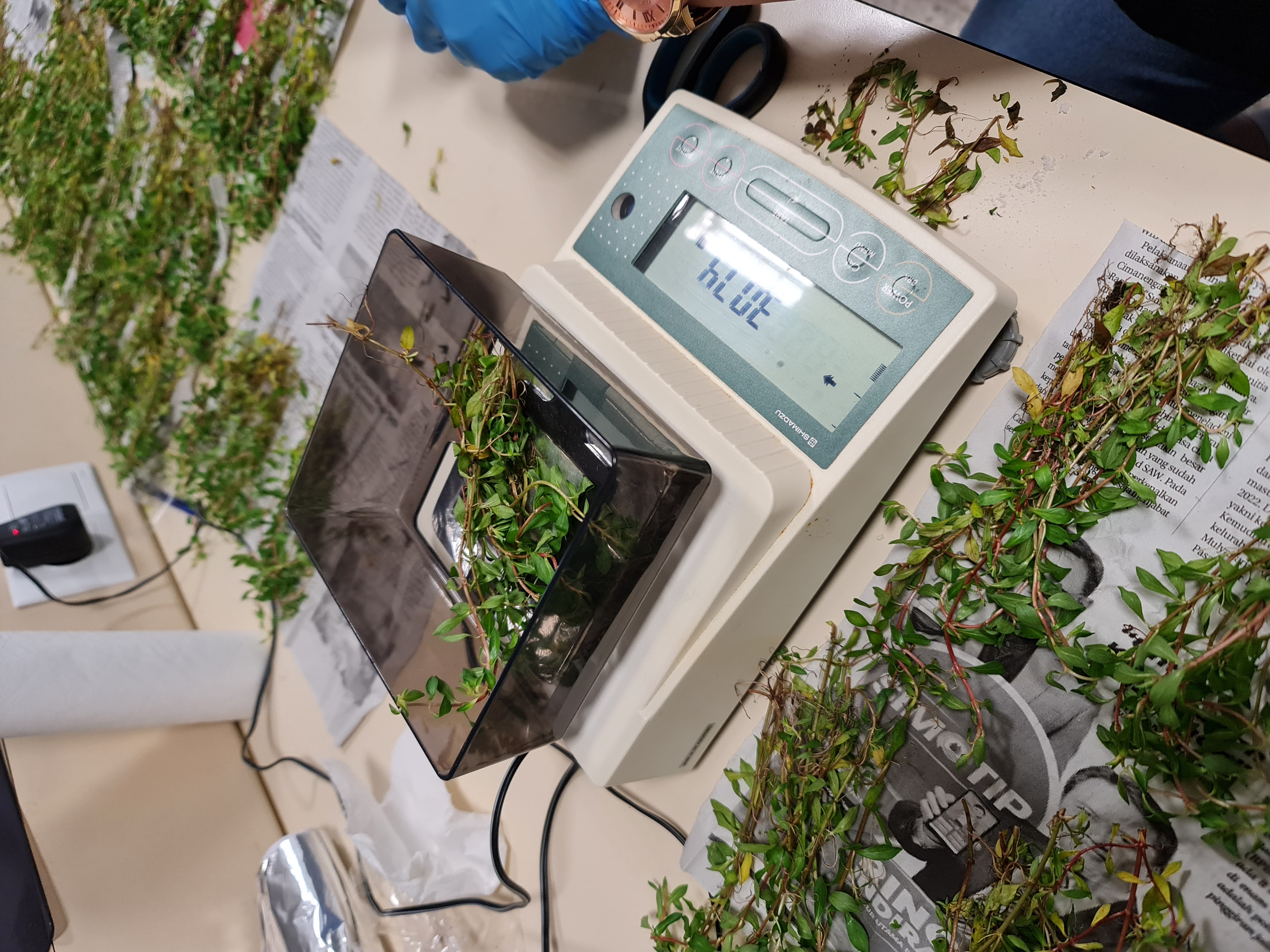 10852 FDK-2022-10852-9.jpg (2.85 MB)